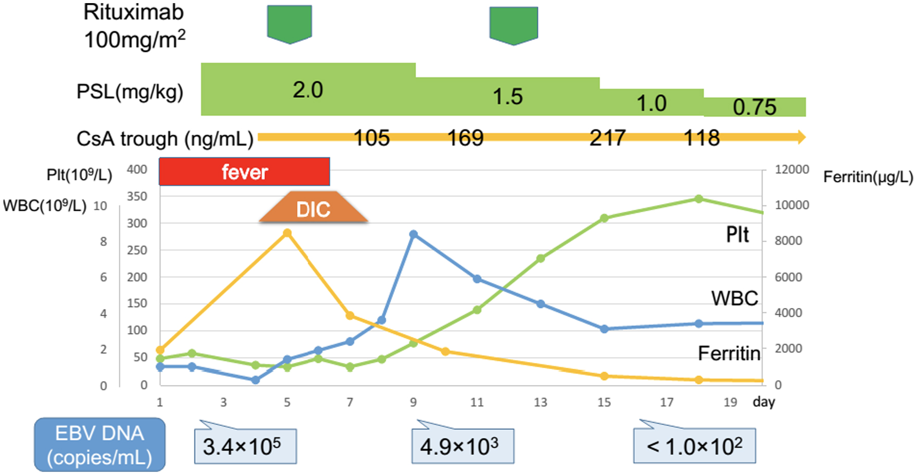 Figure 2. 