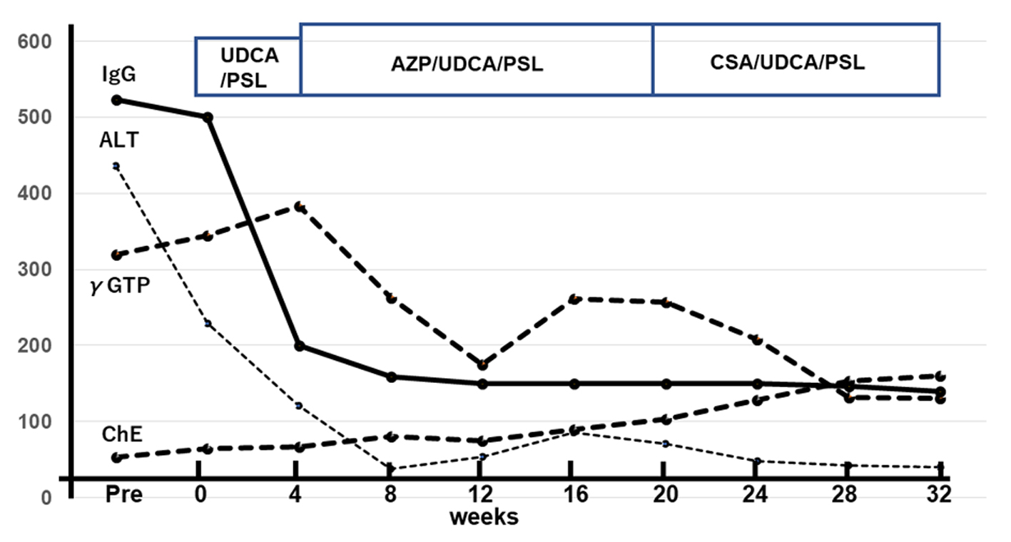 Figure 3. 